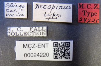 Media type: image;   Entomology 24220 Aspect: labels